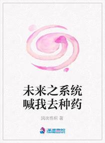 未来系统