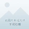 铲地皮的古玩