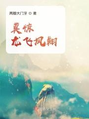龙飞凤翔