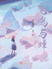 飞鸟与蝉这首歌表达了什么