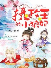 摄政王的小狼妃夕阳和宗郑宇