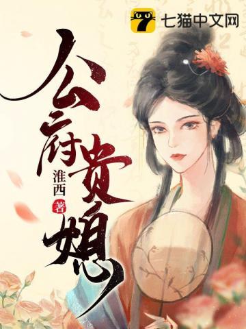 公府贵媳 淮西