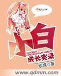 小白成长分是什么