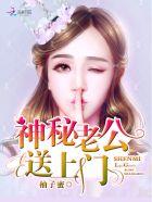 神秘老公全集免费阅读全文