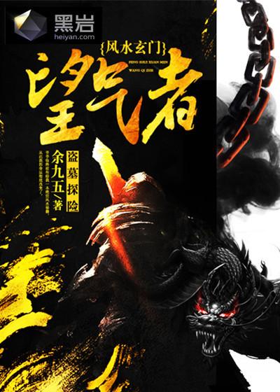 绝品风水师王浩