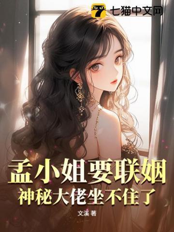 孟小姐电视剧