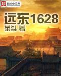 穿越1630之崛起南美