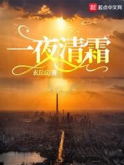 一夜清霜染尽湖边树的意思